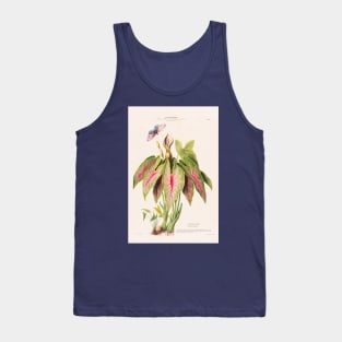 Caladium Bicolor - Flore d’Amérique - Botanical Illustration Tank Top